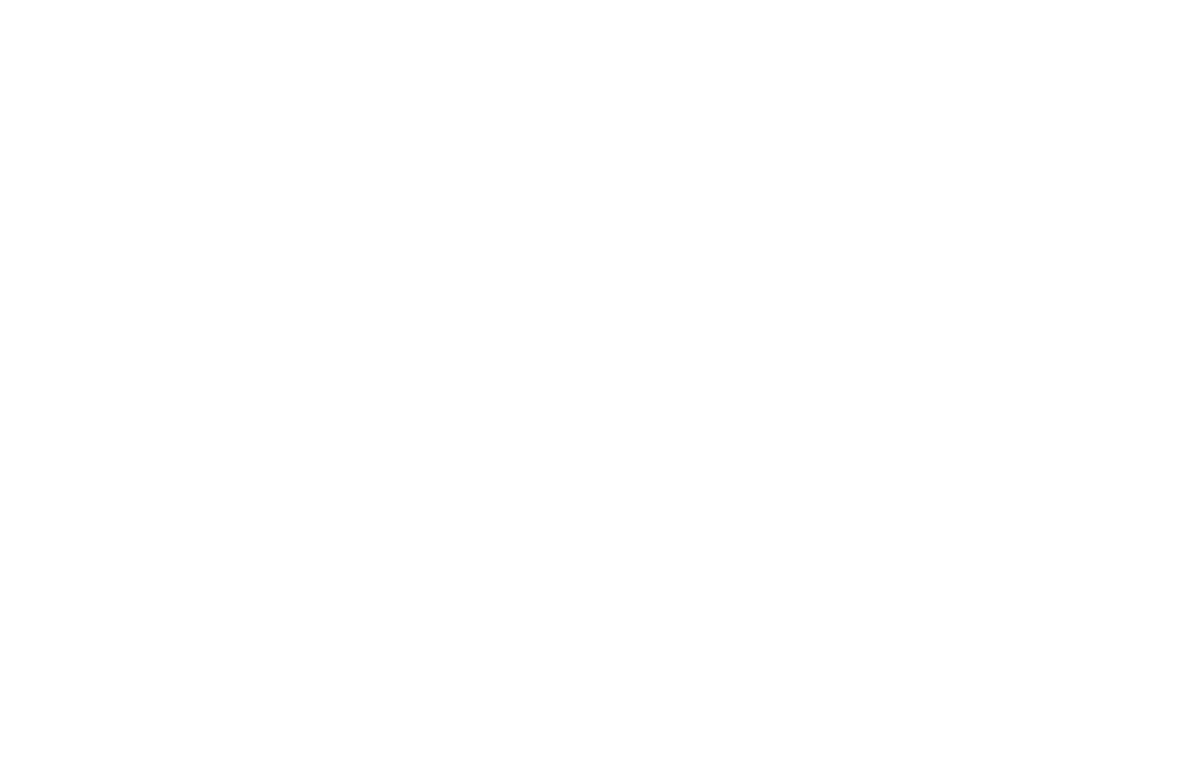 THE KING OF KIDS+